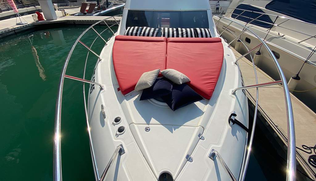 Cruiser 447