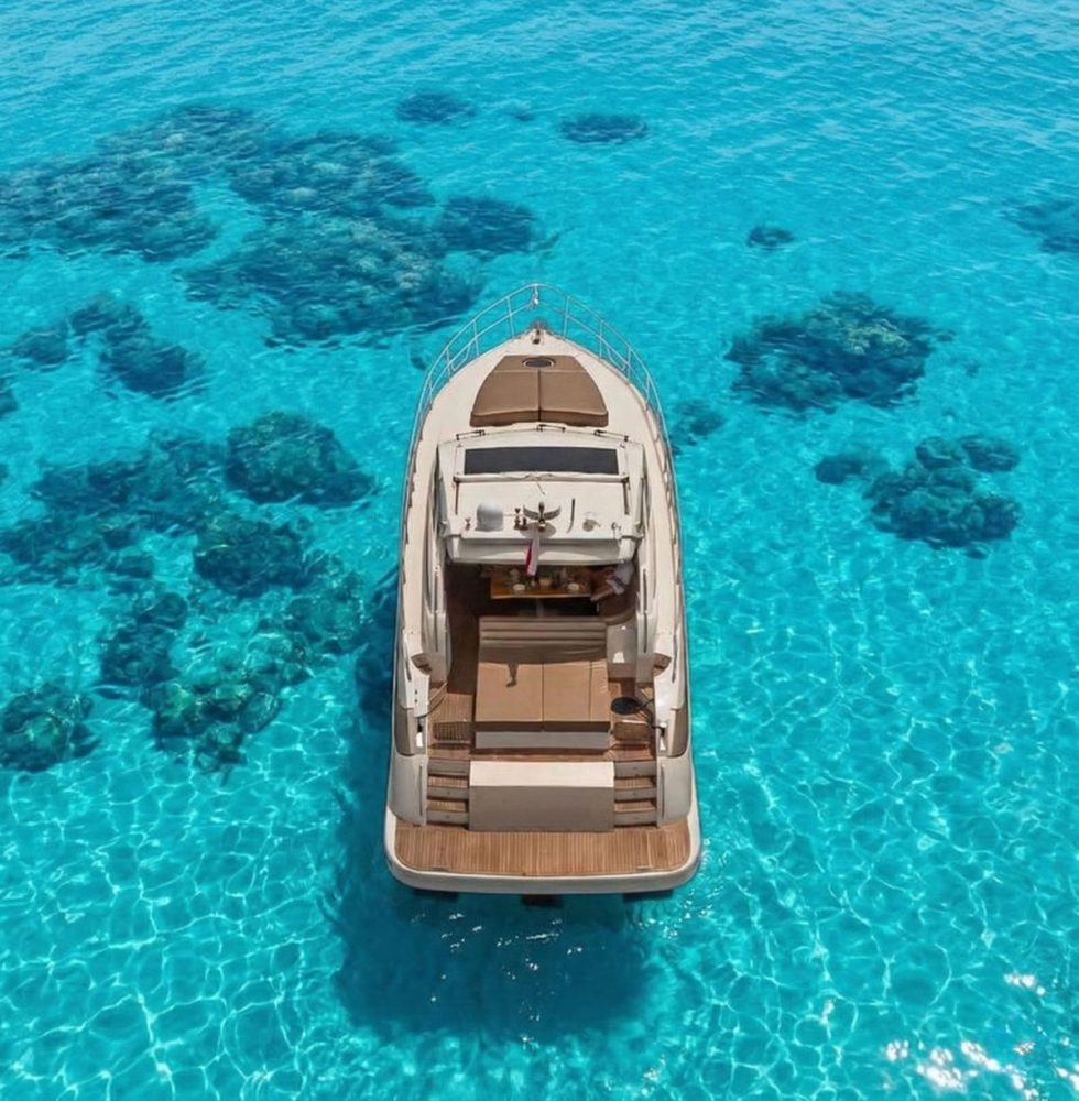 Astondoa 53