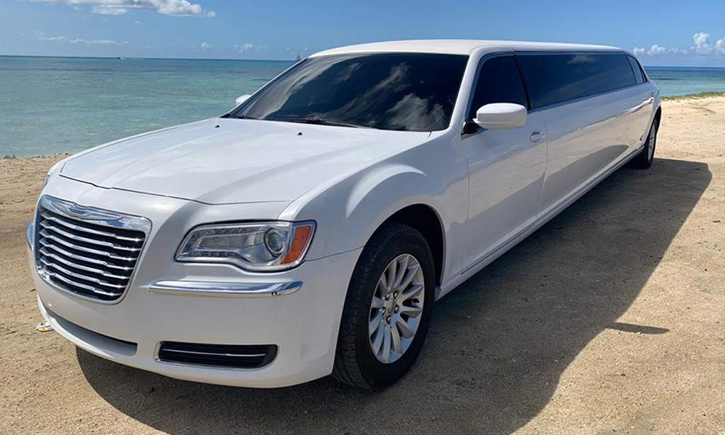 VIP Transportation Service - up to 20 Persons -