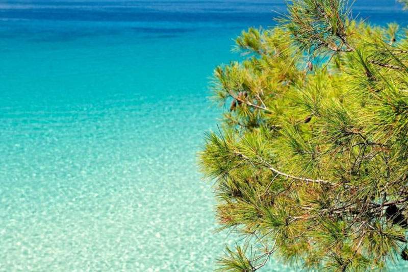 Chalkidiki -> Nea Fokea - Afytos